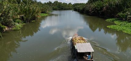 Circuit Fascinant Mékong, Circuit Vietnam par Ôvoyages Circuit Fascinant Mékong, Circuit Vietnam par Ôvoyages
