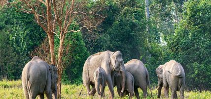 Circuit Trésors authentiques du Siam 4* & séjour à l'hôtel Ao Prao Resort 4*, Circuit Thaïlande, Bangkok par Ôvoyages Circuit Trésors authentiques du Siam 4* & séjour à l'hôtel Ao Prao Resort 4*, Circuit Thaïlande, Bangkok par Ôvoyages