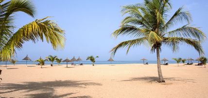 Combiné Circuit Balade Sénégalaise 3* & Ôclub Experience African Village Bougainvillées 3*, Circuit Sénégal par Ôvoyages Combiné Circuit Balade Sénégalaise 3* & Ôclub Experience African Village Bougainvillées 3*, Circuit Sénégal par Ôvoyages