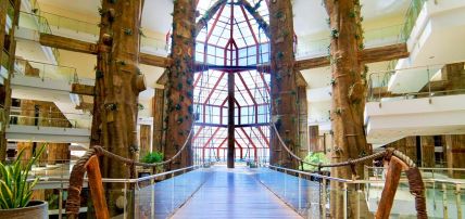 Hôtel Holiday World Polynésia 4*, Séjour Espagne & ses îles, Andalousie, Malaga et sa région par Ôvoyages Hôtel Holiday World Polynésia 4*, Séjour Espagne & ses îles, Andalousie, Malaga et sa région par Ôvoyages