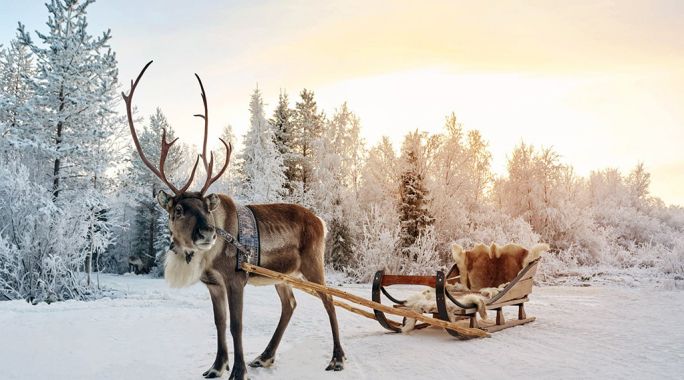 Hôtel Suomutunturi (activités incluses), Séjour Finlande, Laponie par Ôvoyages Hôtel Suomutunturi (activités incluses), Séjour Finlande, Laponie par Ôvoyages