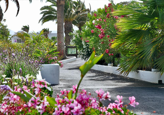 Hôtel Casas Heddy 3* Hôtel Casas Heddy 3*