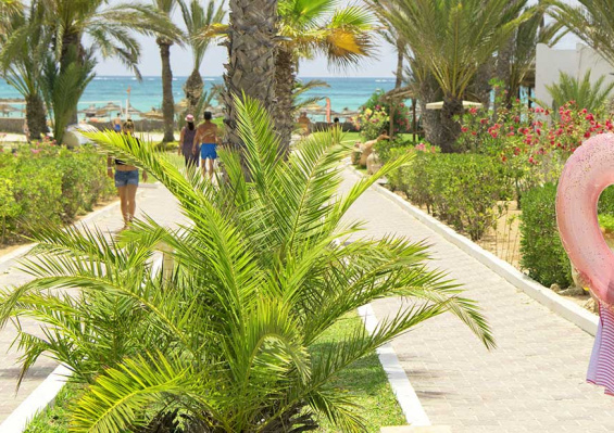 Hôtel Mondi Club Seabel Aladin 3* Sup Hôtel Mondi Club Seabel Aladin 3* Sup - photo 4