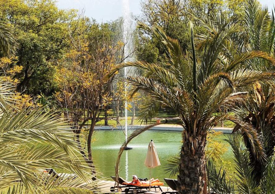 Hôtel Barcelo Palmeraie Oasis Resort 5* Hôtel Barcelo Palmeraie Oasis Resort 5* - photo 3