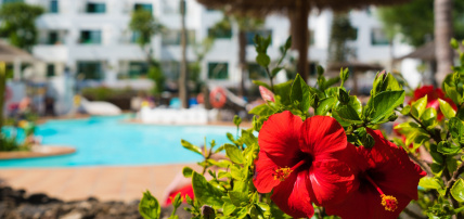 Hôtel Mondi Club Galeon Playa 3*, Séjour Espagne & ses îles, Canaries, Lanzarote par Ôvoyages Hôtel Mondi Club Galeon Playa 3*, Séjour Espagne & ses îles, Canaries, Lanzarote par Ôvoyages
